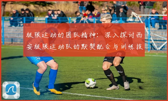 极限运动的团队精神：深入探讨西安极限运动队的默契配合与训练技巧